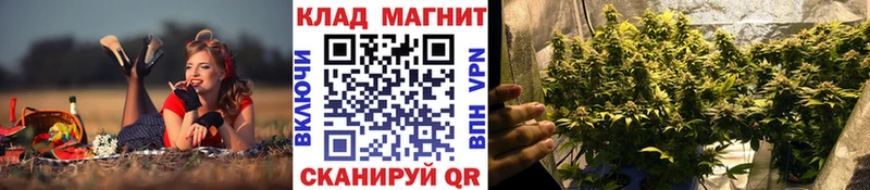 Где продают наркотики Андреаполь Гашиш  Конопля  Кокаин  Меф мяу мяу 
