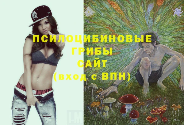 мет Дубна
