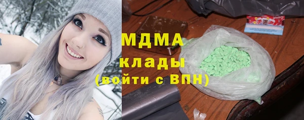 индика Ельня