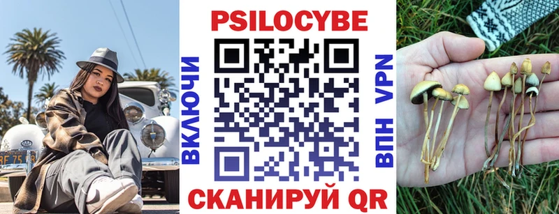 Галлюциногенные грибы мицелий ОМГ ОМГ зеркало Андреаполь сколько стоит